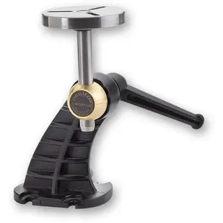 VERITAS CARVERS VICE