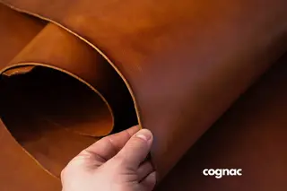 Perun l&#230;r Cognac - hel Forpart