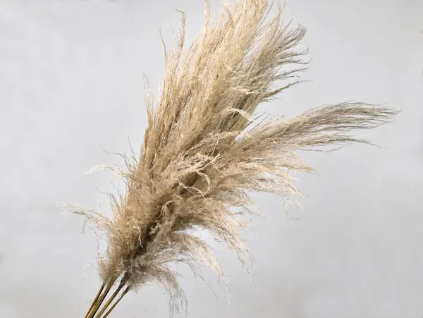 18620