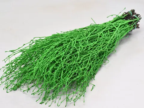 Bjørkkvist 10 pak - grønn Ca. 70 cm lengde