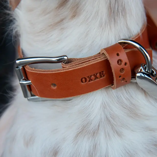 Hundehalsbånd enkel OXXE 43 - Brun D-ring i smygstolfestet 