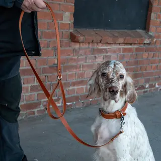 Hundekobbel m/ l&#229;sekrok 144 cm - Brun M/ Dring