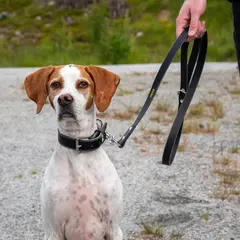 Hundekobbel m/ låsekrok 144 cm - Svart M/ Dring